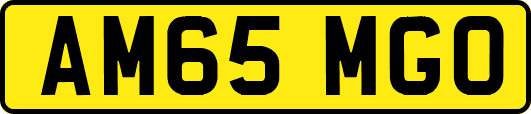AM65MGO