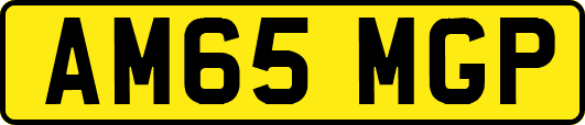 AM65MGP