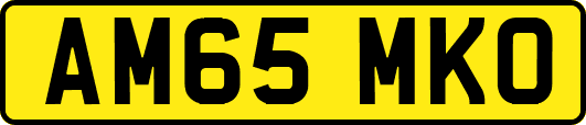 AM65MKO