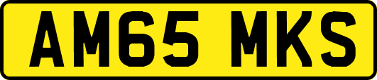 AM65MKS