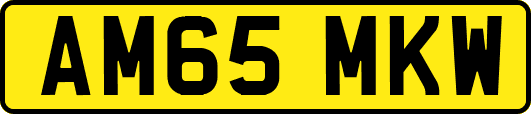 AM65MKW
