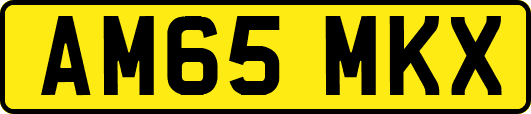 AM65MKX