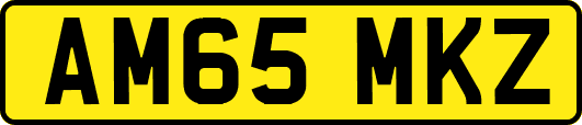 AM65MKZ