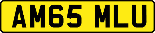 AM65MLU