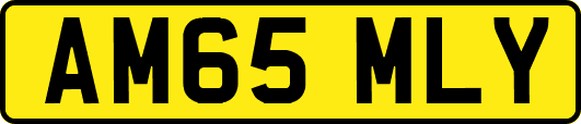 AM65MLY