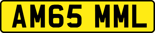 AM65MML