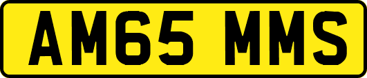 AM65MMS