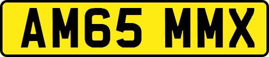 AM65MMX