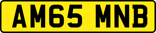 AM65MNB