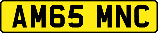 AM65MNC
