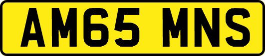 AM65MNS