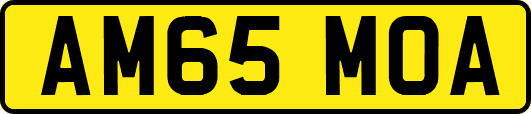 AM65MOA