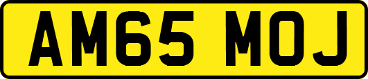 AM65MOJ