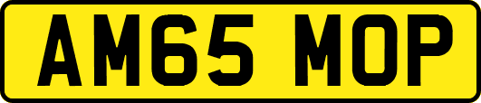 AM65MOP