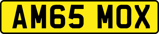 AM65MOX