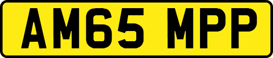 AM65MPP