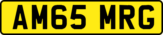 AM65MRG