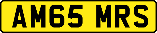 AM65MRS