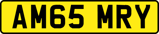 AM65MRY