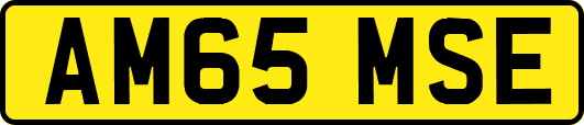 AM65MSE