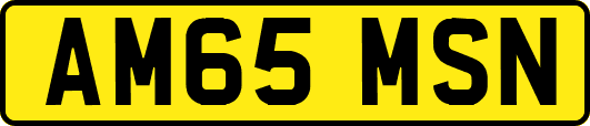 AM65MSN