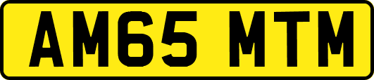 AM65MTM