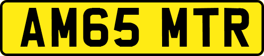 AM65MTR