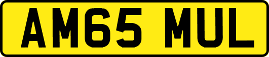 AM65MUL