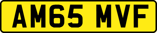 AM65MVF