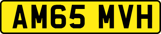 AM65MVH