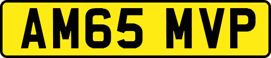 AM65MVP