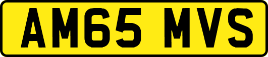 AM65MVS