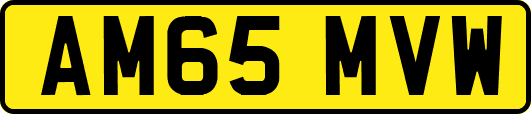 AM65MVW