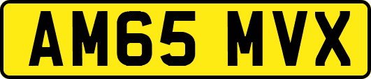 AM65MVX