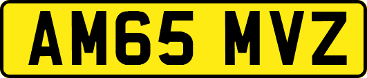 AM65MVZ