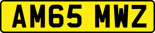 AM65MWZ