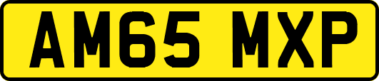 AM65MXP