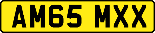 AM65MXX