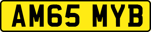 AM65MYB