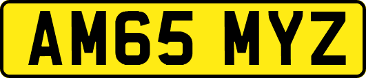 AM65MYZ