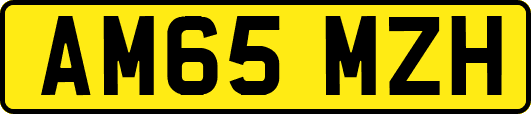 AM65MZH
