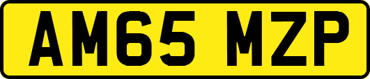 AM65MZP