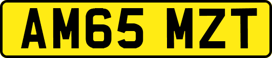 AM65MZT