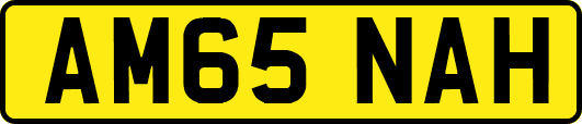 AM65NAH