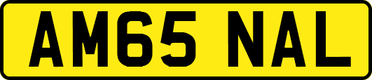 AM65NAL