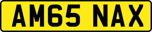 AM65NAX