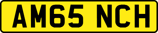 AM65NCH