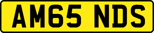 AM65NDS