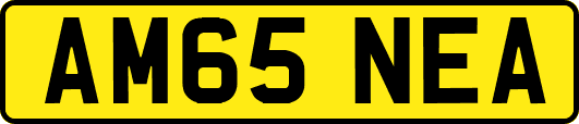 AM65NEA