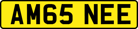 AM65NEE
